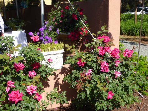 May18Ironwood gardens